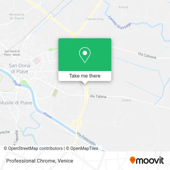 Professional Chrome map