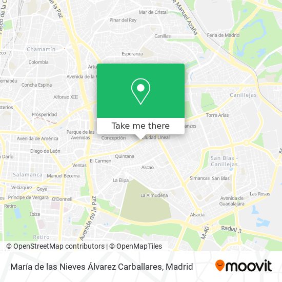 María de las Nieves Álvarez Carballares map