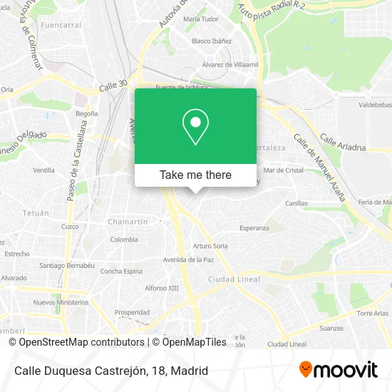 Calle Duquesa Castrejón, 18 map