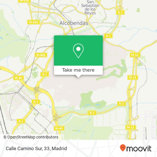 Calle Camino Sur, 33 map