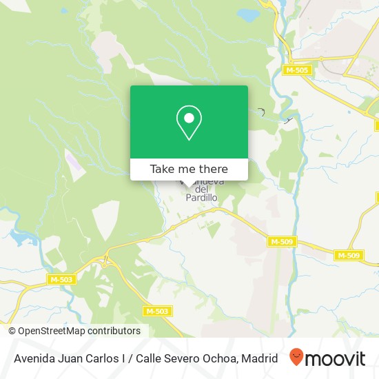 Avenida Juan Carlos I / Calle Severo Ochoa map