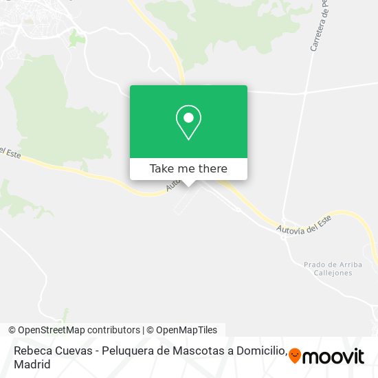 Rebeca Cuevas - Peluquera de Mascotas a Domicilio map