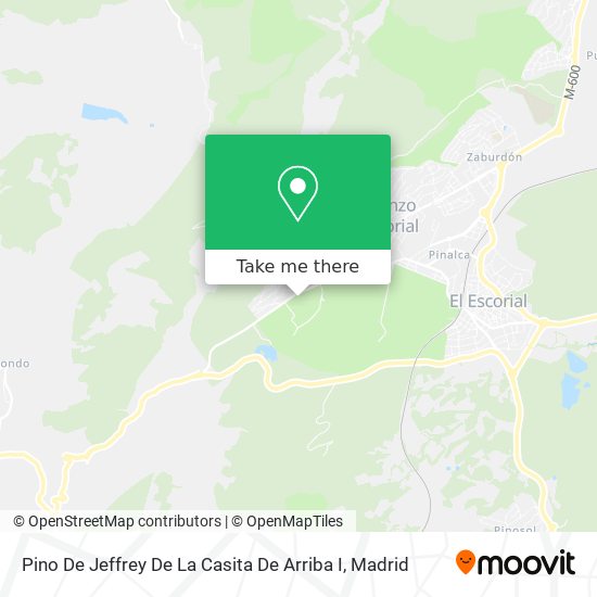 mapa Pino De Jeffrey De La Casita De Arriba I