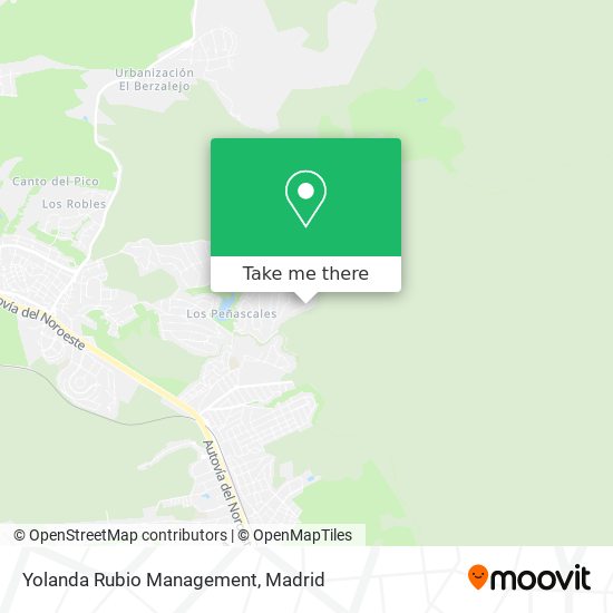 Yolanda Rubio Management map