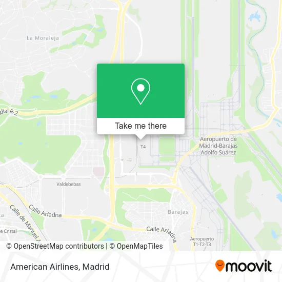 American Airlines map