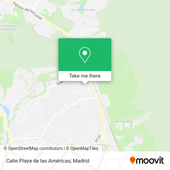Calle Playa de las Américas map