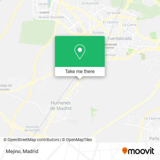 Mejino map
