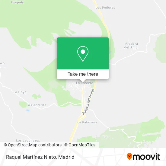 Raquel Martínez Nieto map