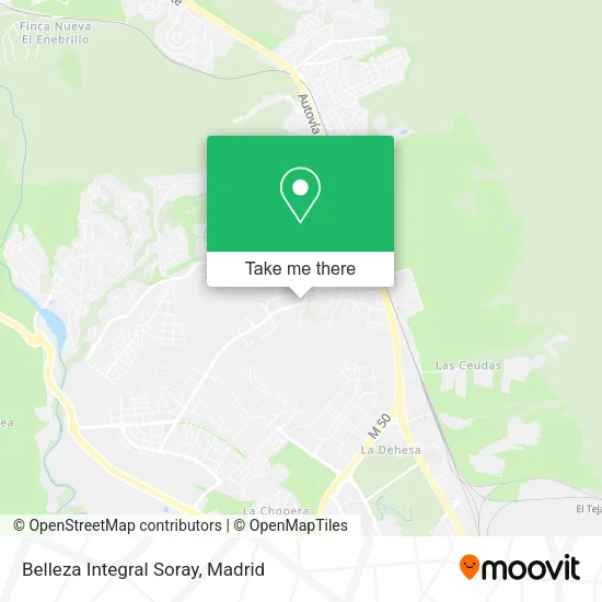 Belleza Integral Soray map