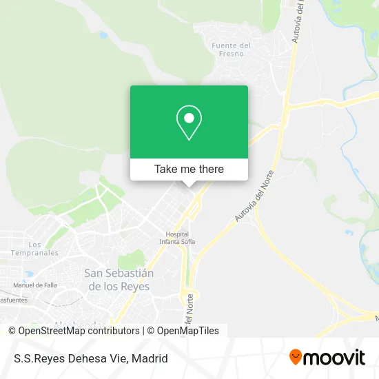 S.S.Reyes Dehesa Vie map