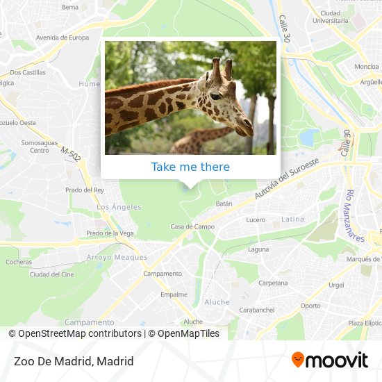 mapa Zoo De Madrid