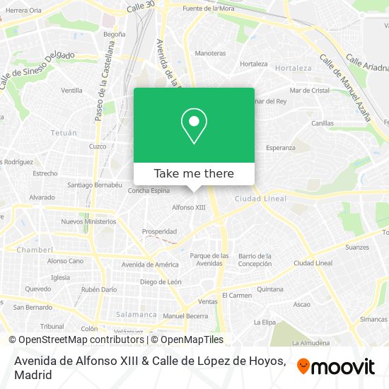 Avenida de Alfonso XIII & Calle de López de Hoyos map