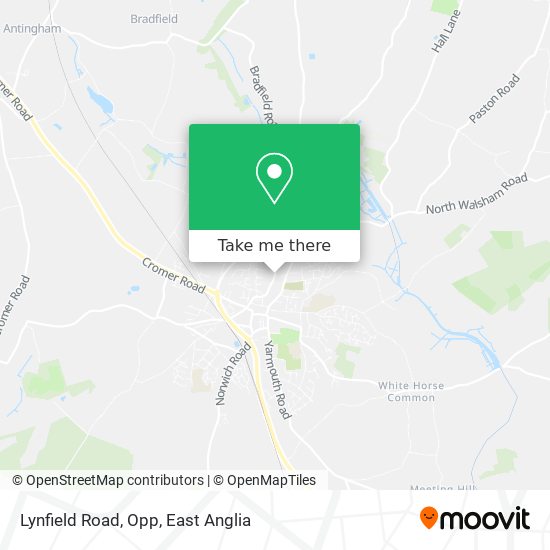Lynfield Road, Opp map