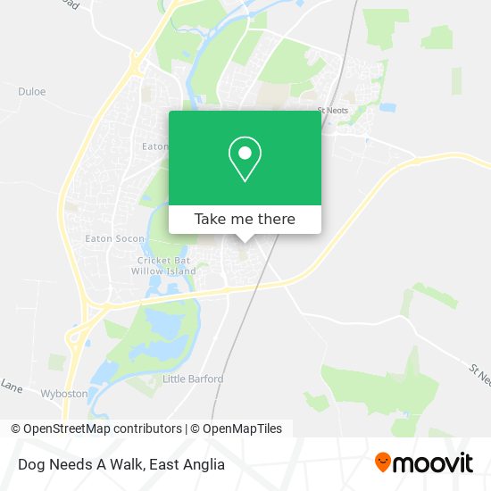 Dog Needs A Walk map