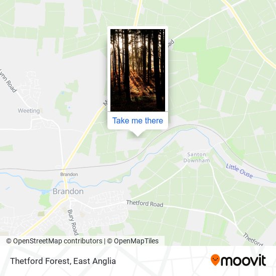 Thetford Forest map