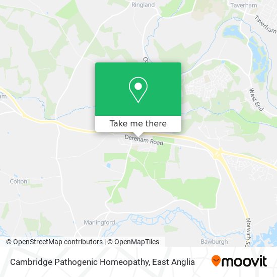 Cambridge Pathogenic Homeopathy map