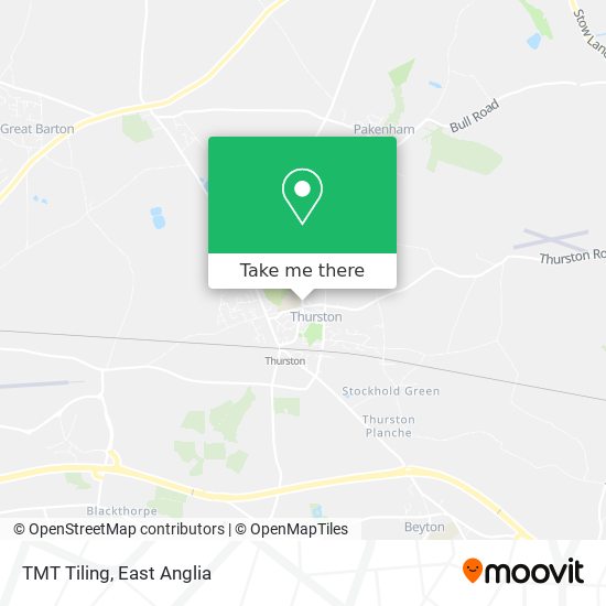 TMT Tiling map