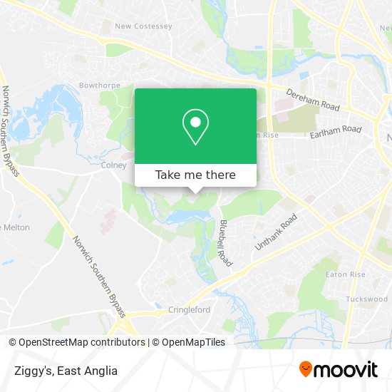 Ziggy's map