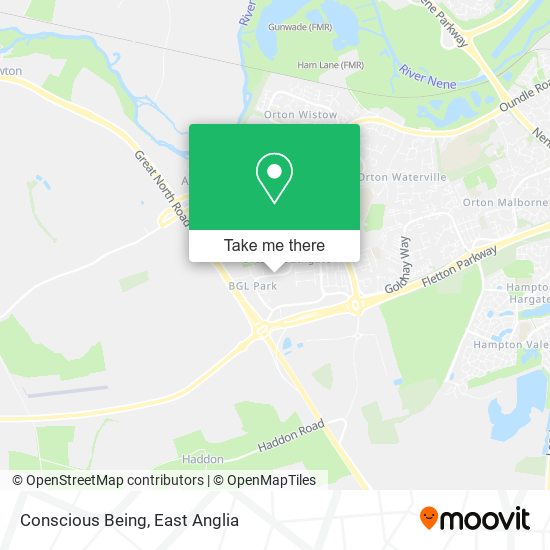 Conscious Being map