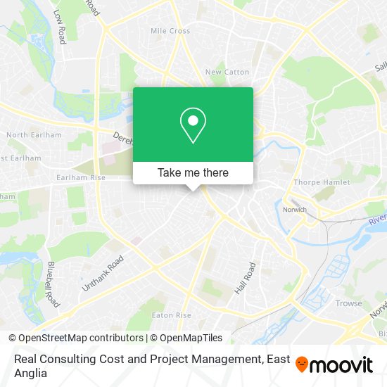 Real Consulting Cost and Project Management map