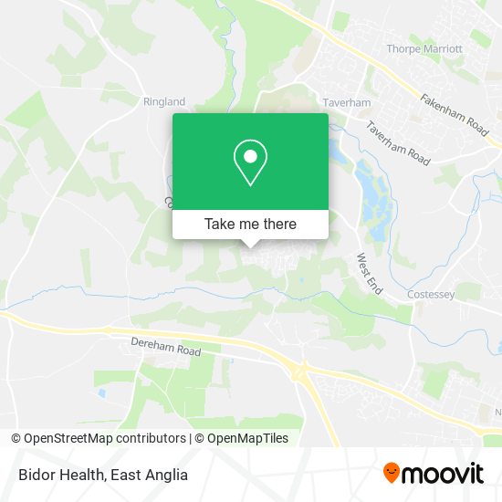 Bidor Health map