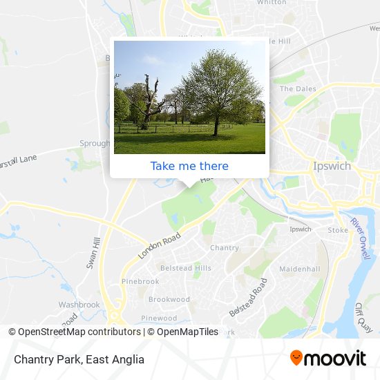 Chantry Park map