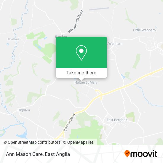 Ann Mason Care map