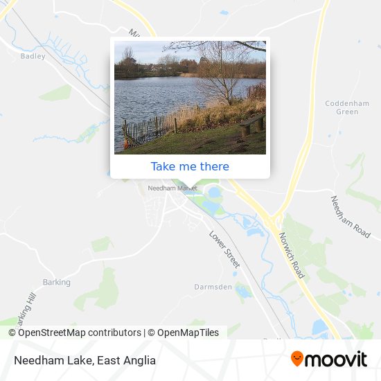 Needham Lake map