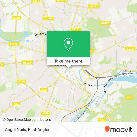 Angel Nails, 1 Farmers Avenue Norwich Norwich NR1 3JX map