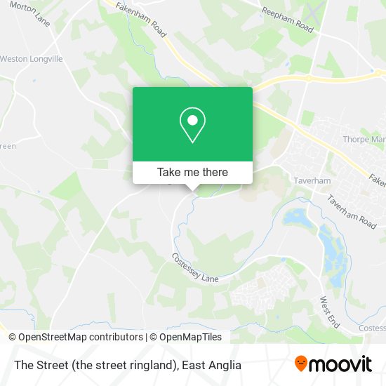 The Street (the street ringland) map