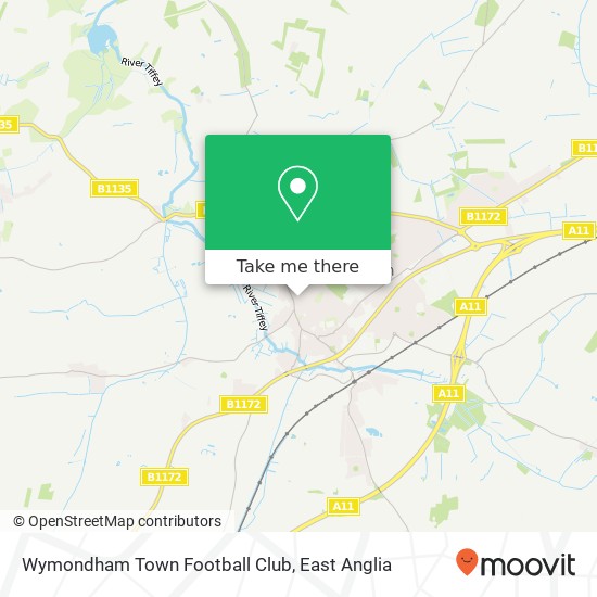 Wymondham Town Football Club, Back Lane Wymondham Wymondham NR18 0LB map