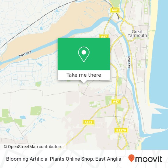 Blooming Artificial Plants Online Shop, Lefevre Way Great Yarmouth Great Yarmouth NR31 0 map