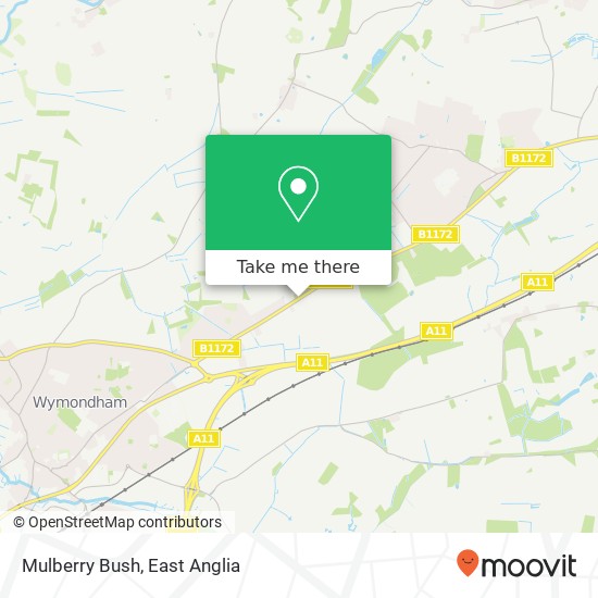 Mulberry Bush, Norwich Common Wymondham Wymondham NR18 0 map