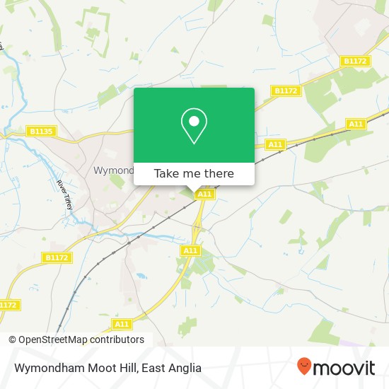 Wymondham Moot Hill map