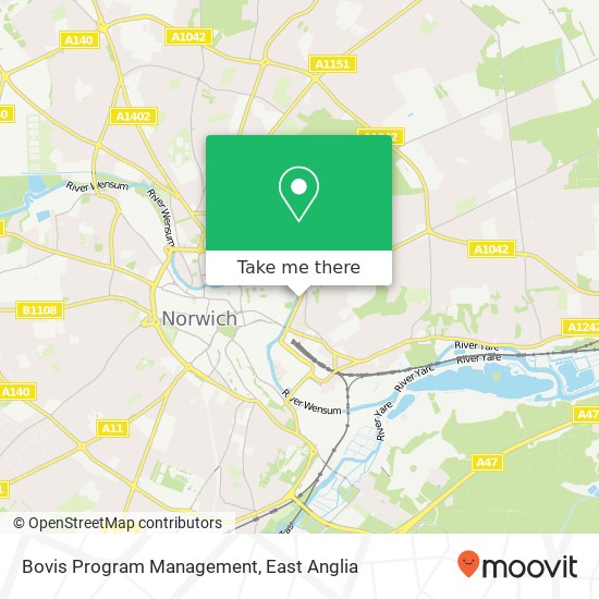 Bovis Program Management map