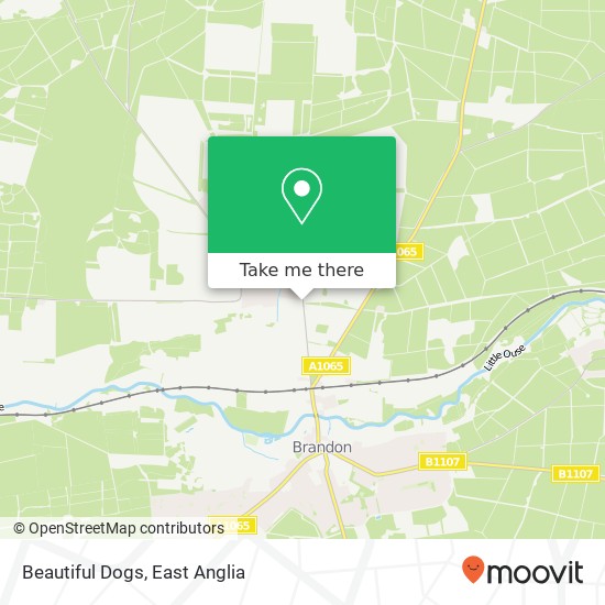 Beautiful Dogs map