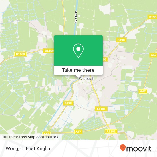 Wong, Q map