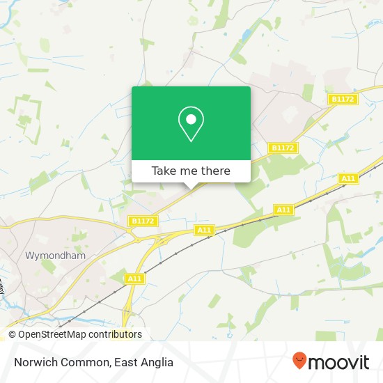Norwich Common, Wymondham Wymondham map
