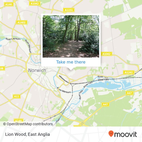 Lion Wood, Cintra rd map