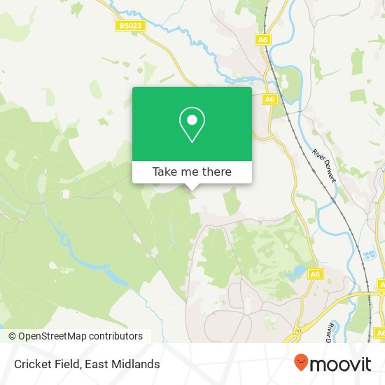 Cricket Field map