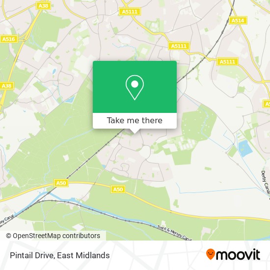 Pintail Drive map