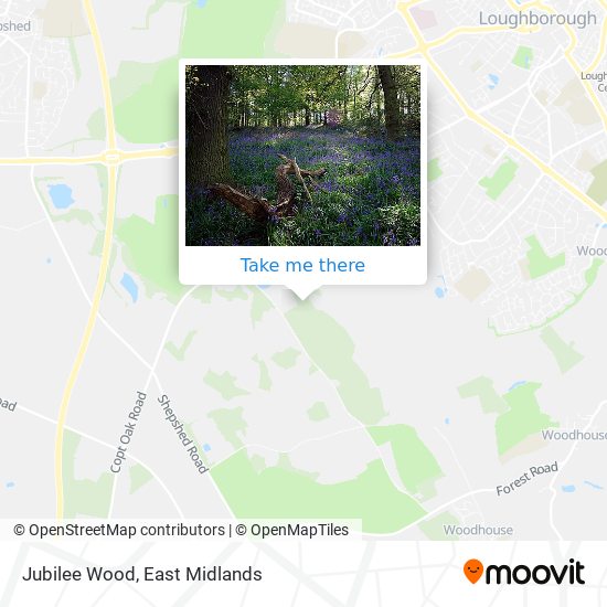 Jubilee Wood map