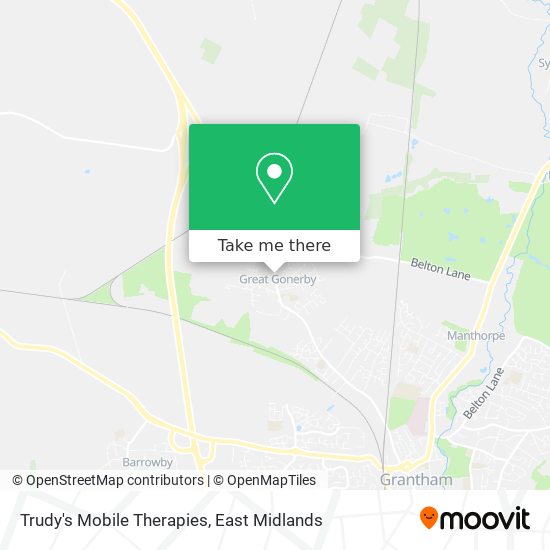 Trudy's Mobile Therapies map