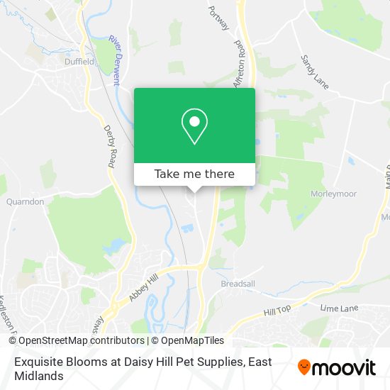 Exquisite Blooms at Daisy Hill Pet Supplies map