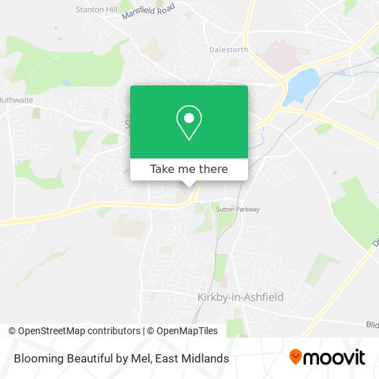 Blooming Beautiful by Mel map