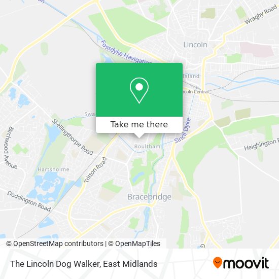 The Lincoln Dog Walker map