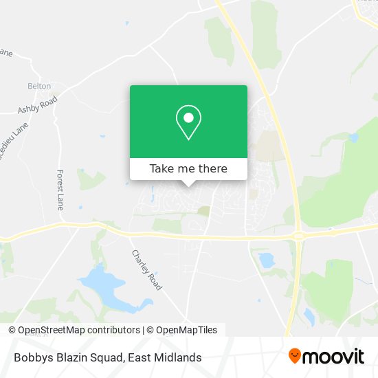 Bobbys Blazin Squad map