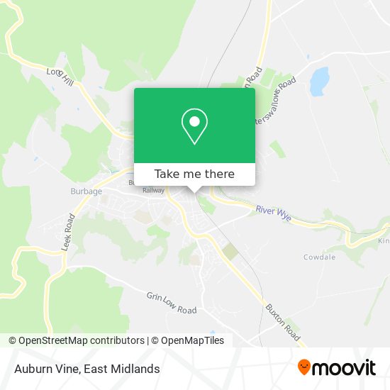 Auburn Vine map