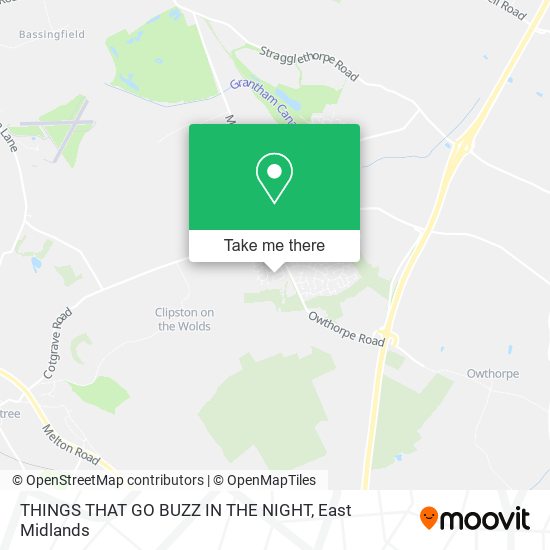 THINGS THAT GO BUZZ IN THE NIGHT map