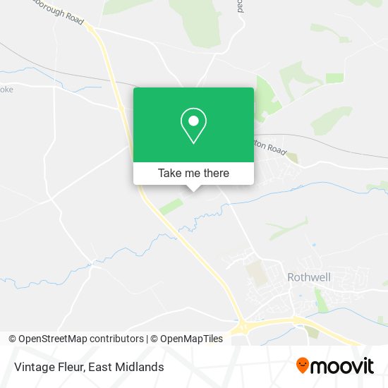 Vintage Fleur map